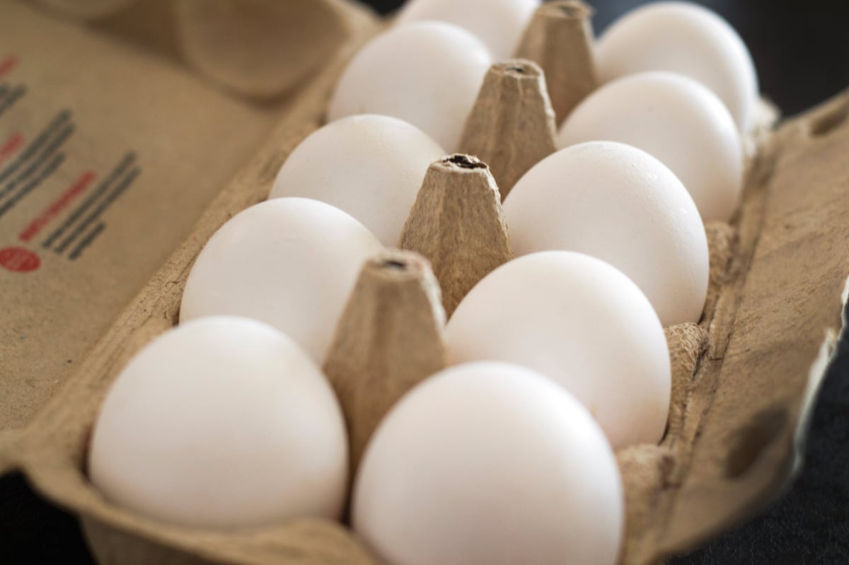 Open egg box with ten white eggs close up