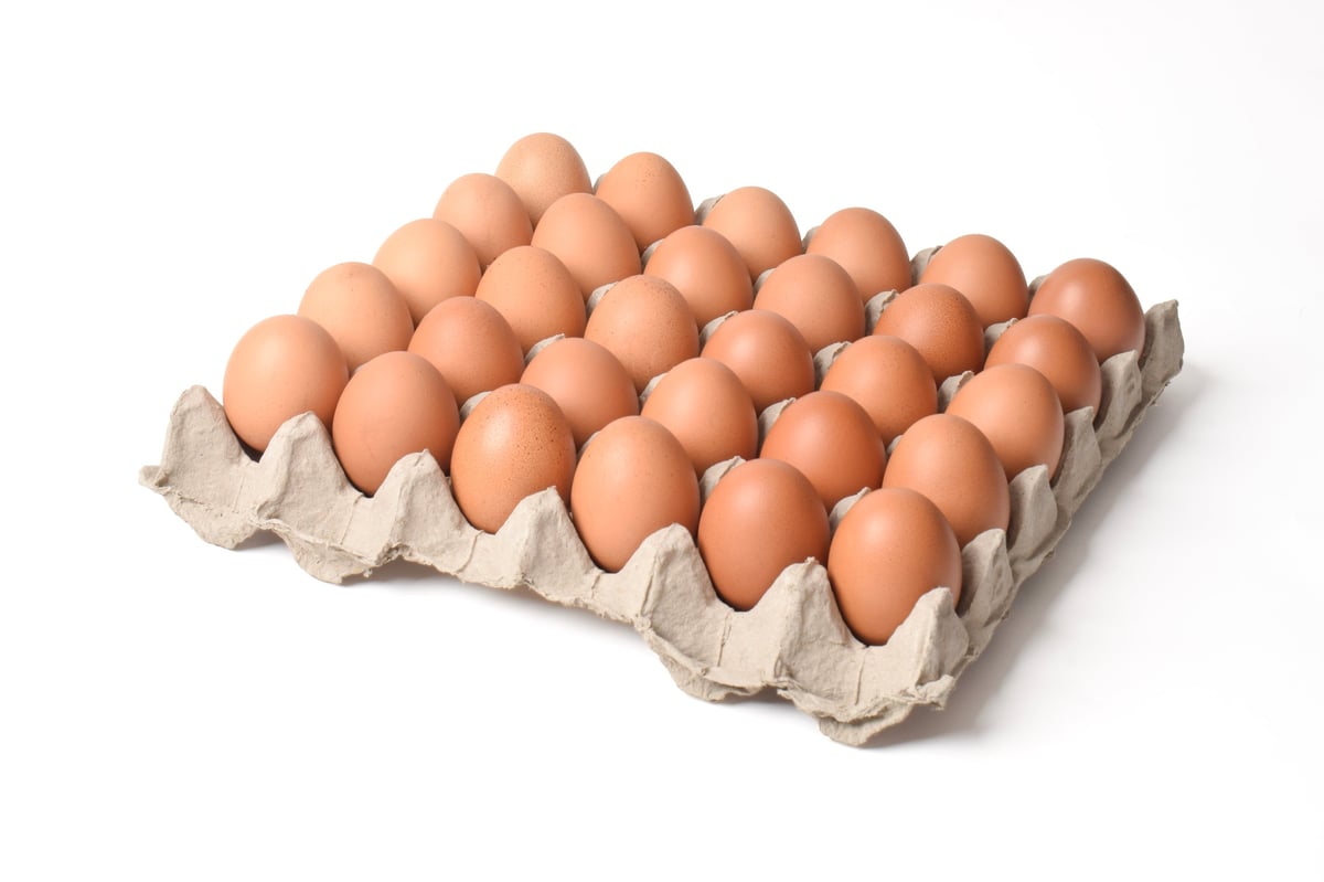 Chicken eggs in cardboard box isolated on white background