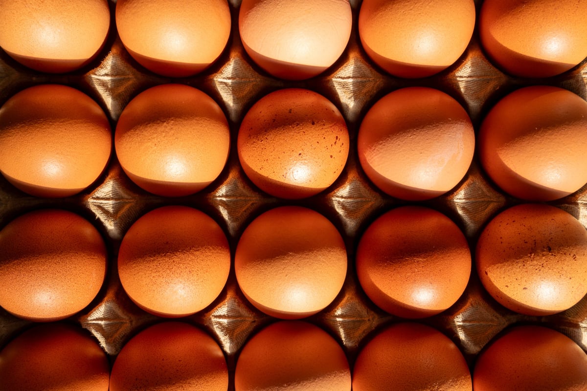 Close-up of organic brown eggs organized in a paper carton