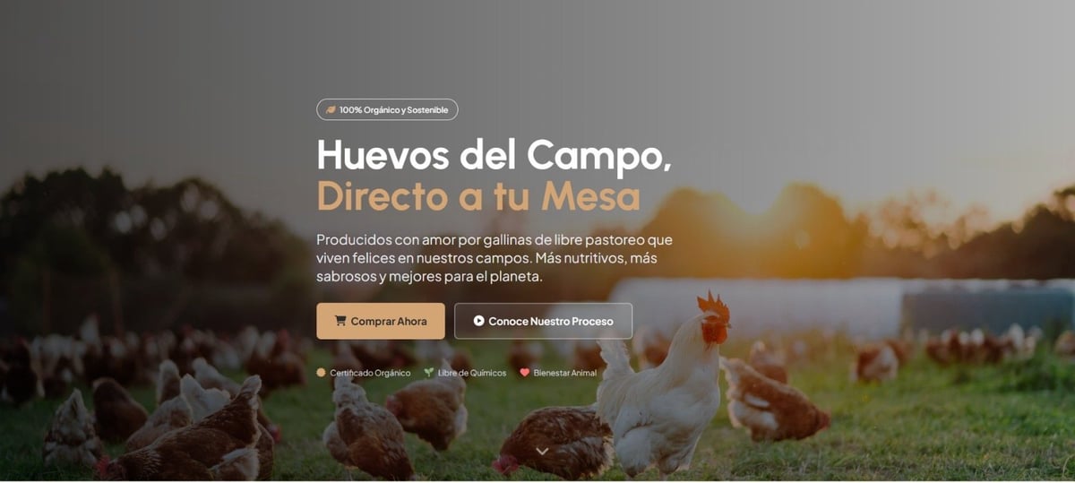 Farm-to-table website banner showing chickens grazing in a field at sunset